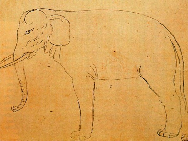 Drawing of an elephant